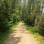 Cicha Woda 300 M Od Goracy Potok I Termy 3* Szaflary