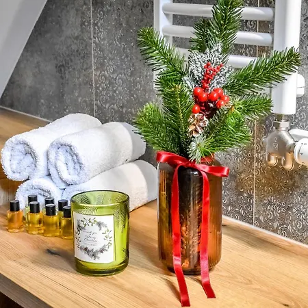 Cicha Woda 300 M Od Goracy Potok I Termy Bed & Breakfast Szaflary