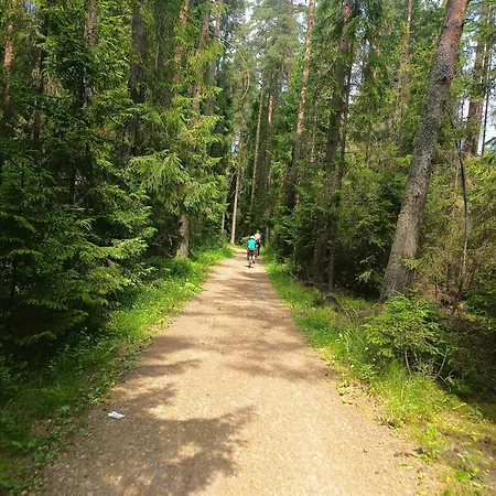 Cicha Woda 300 M Od Goracy Potok I Termy * Szaflary