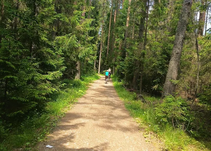 Cicha Woda 300 M Od Gorący Potok I Termy 3* Szaflary